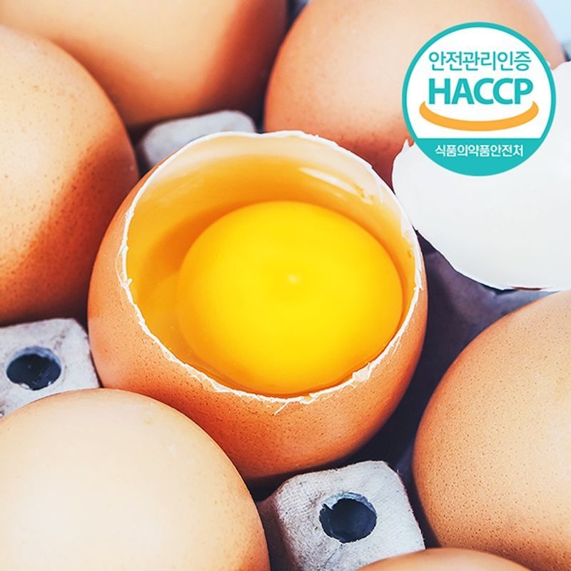 웰굿 [HACCP] 농장직송 웰굿 신선한 계란 30구(1판,특란)