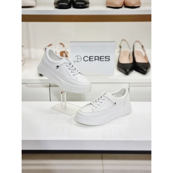 쎄레스 여성 스니커즈 레이스업 심플 베이직(4cm)C3R22Y4DROL300