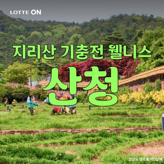 [런트립] 산청 지리산 기충전 웰니스 당일여행(동의보감촌, 무릉교 출렁다리, 지리산 대원사계곡, 남사예담촌)