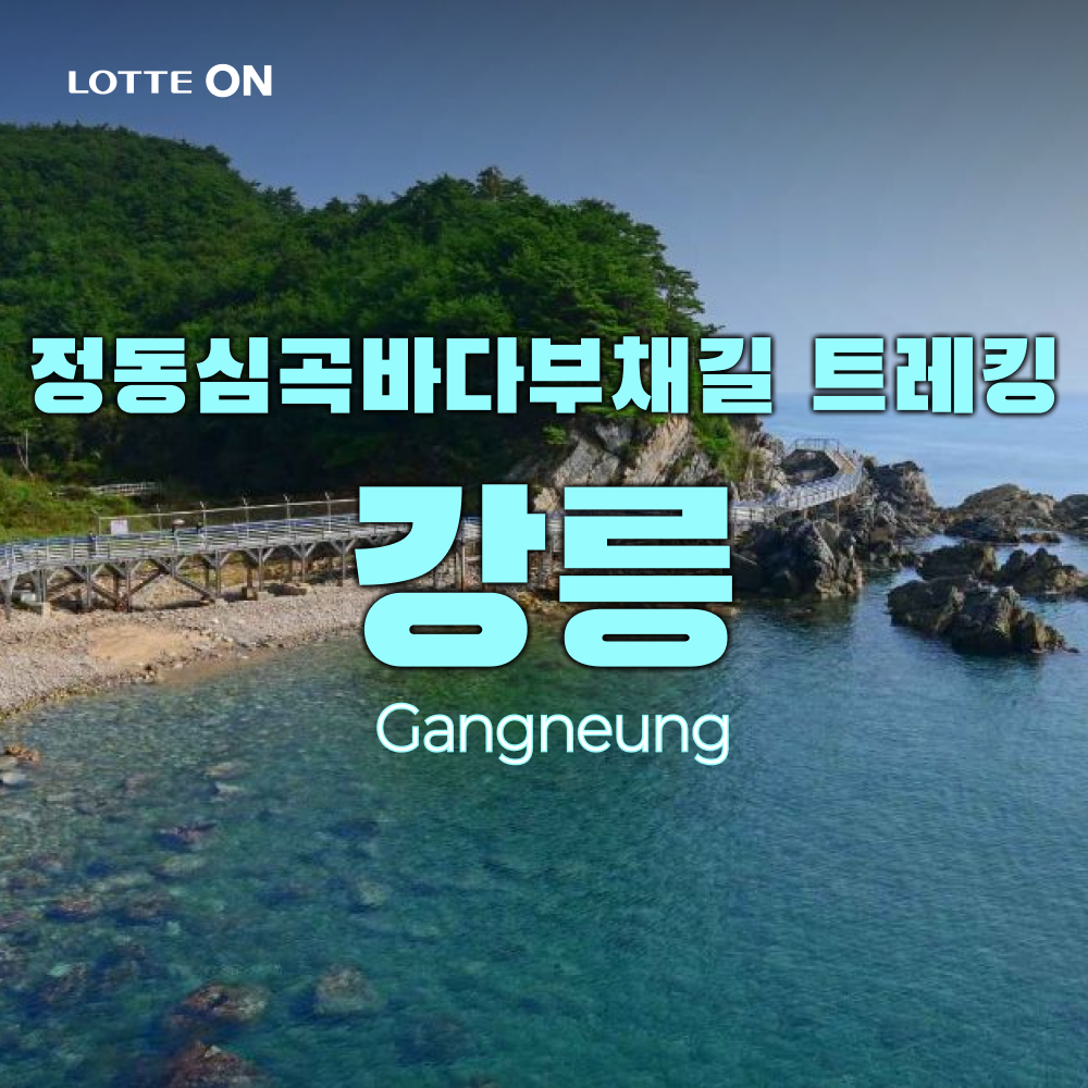 테마캠프 [런트립] 강릉 정동심곡바다부채길 트레킹, 중앙시장, 안목해변, 오대산 월정사 당일여행