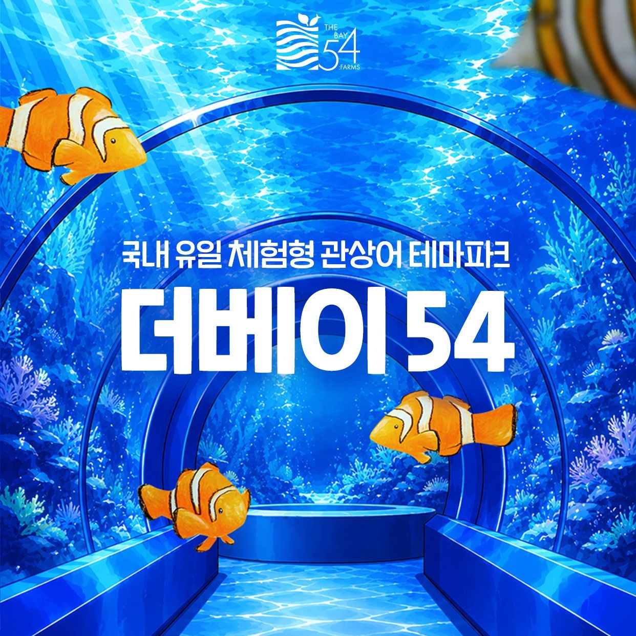 [오픈 특가] 시흥 거북섬 더베이54 관상어 테마파크