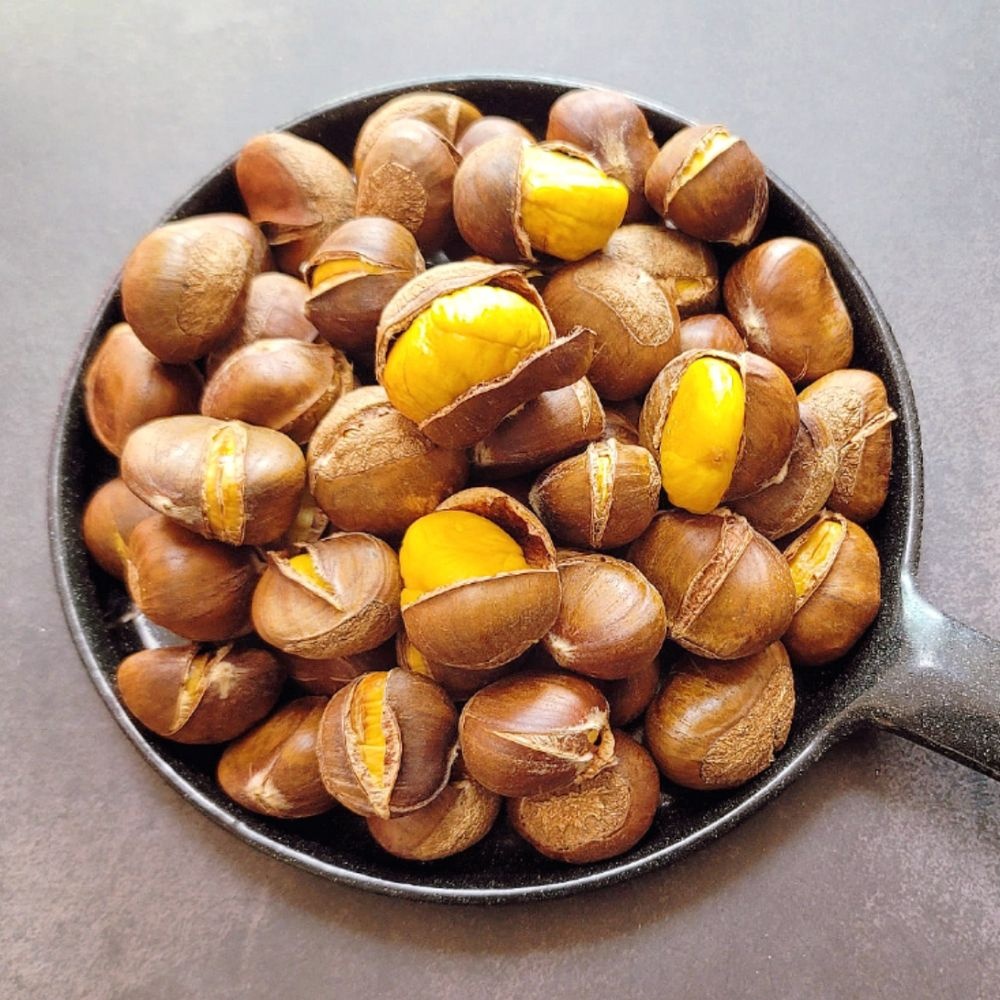 26년 칼집 생율밤 1kg 에어프라이어용