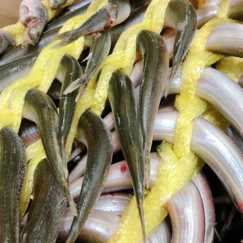 HD 동해안 반건조 양미리 1두름(20미)