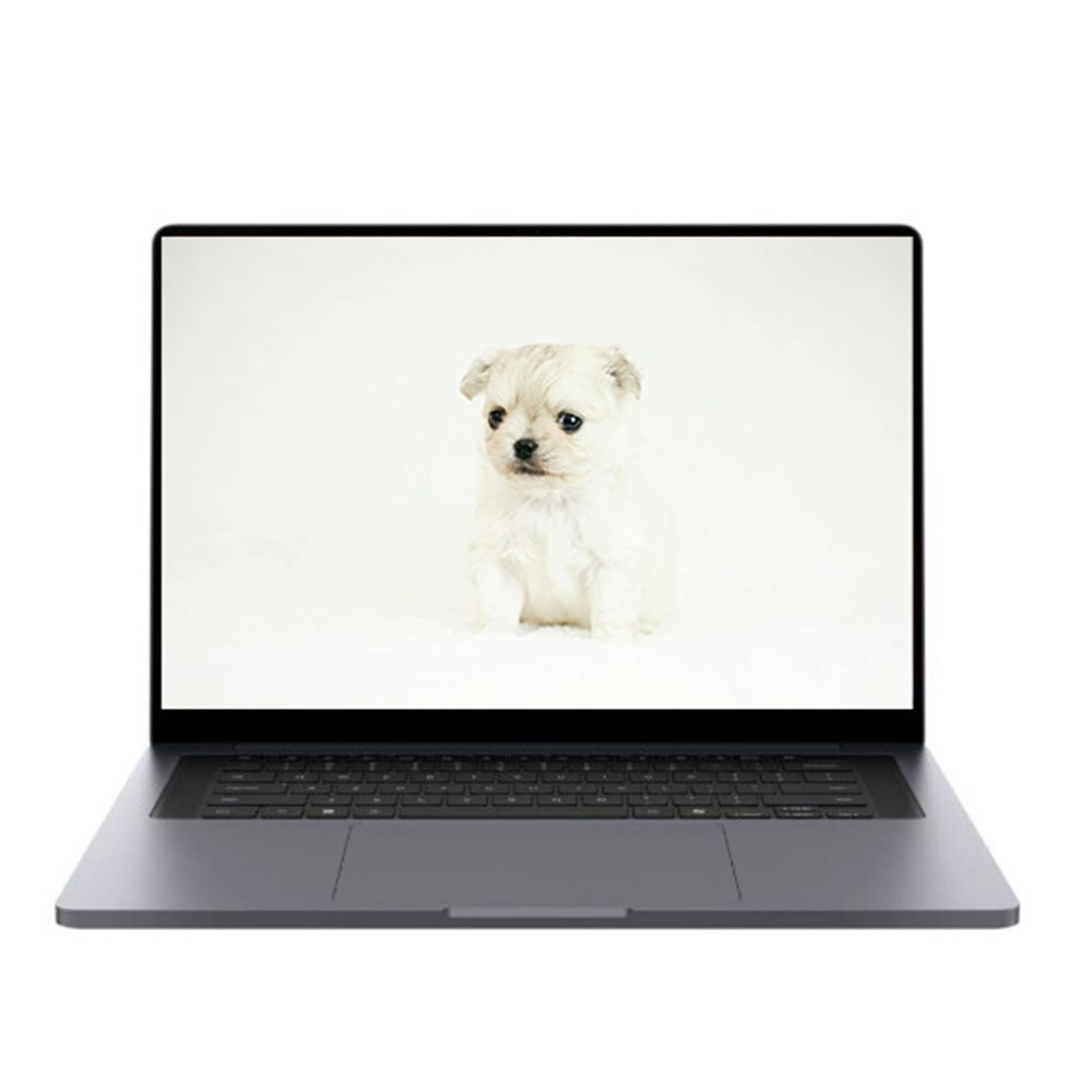 삼성전자 갤럭시북6 울트라 NT960UJH-XD72Y