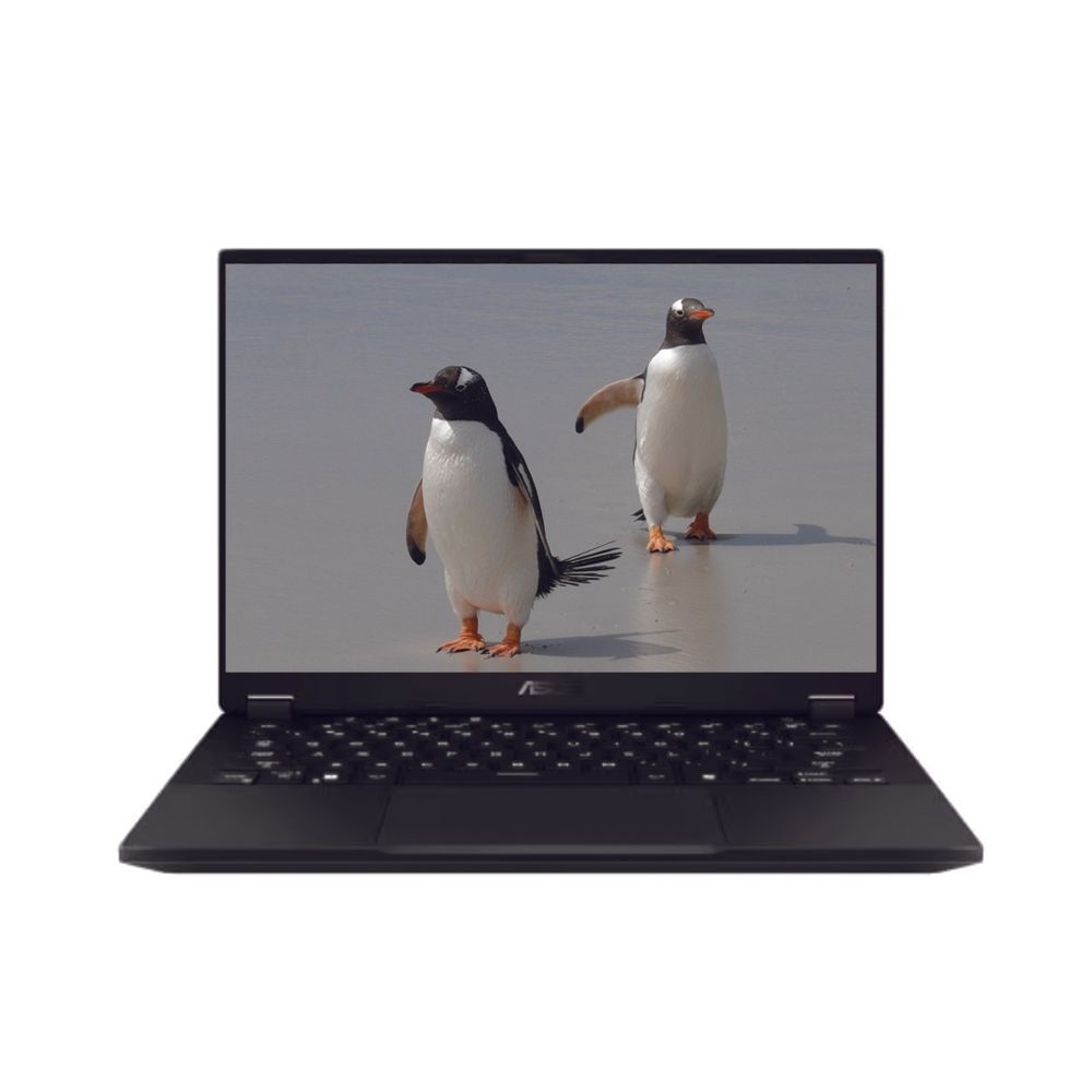 ASUS TUF Gaming A16 FA608PP-QT028 SSD 1TB