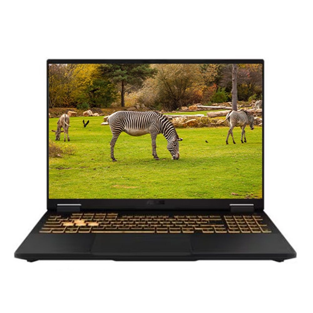 ASUS TUF Gaming F16 FX608JHI-TU236 SSD 1TB