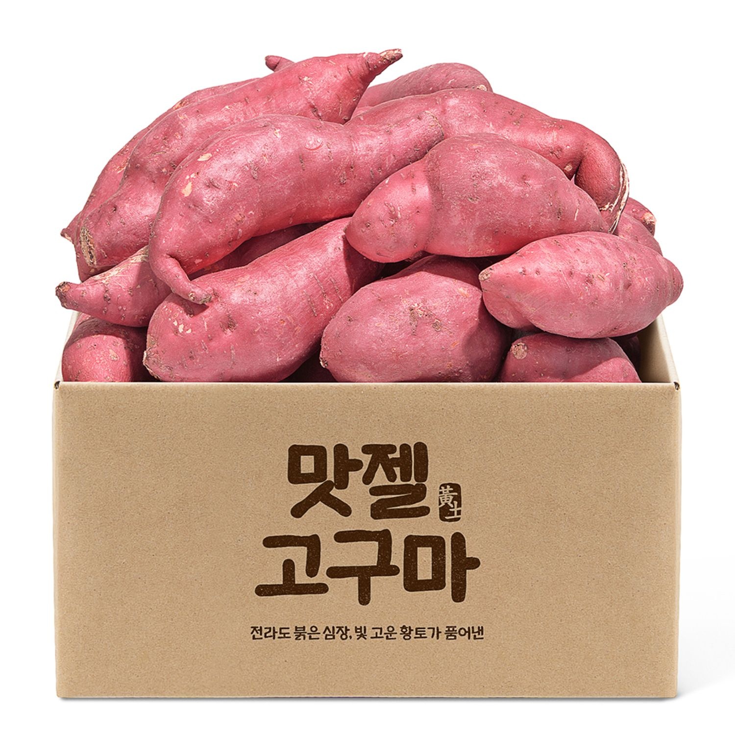 [맛젤] 2026년 햇 단밤고구마 3kg 5kg 10kg