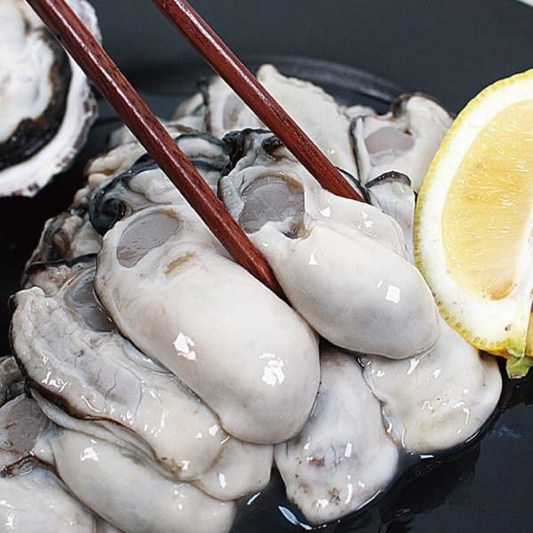 산해직송 (현대Hmall) 당일 조업 통영 생굴 1kg