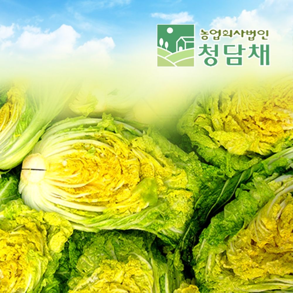 농업회사법인 주식회사 청담채 청담채 괴산 절임배추20kg 90일배추 국산 천일염으로 절인