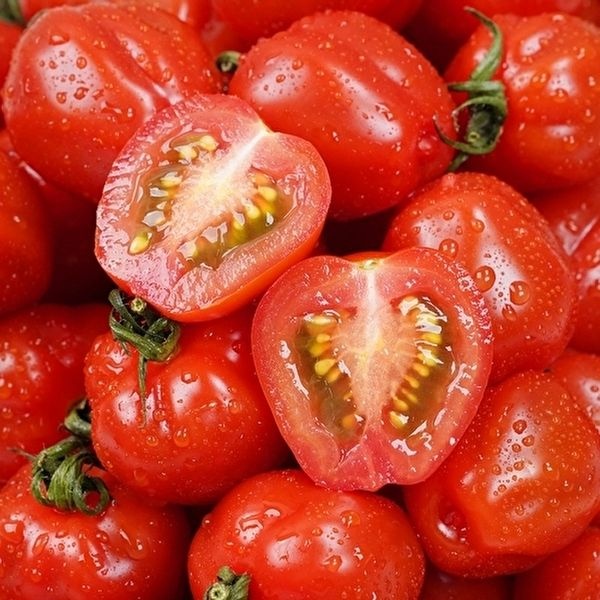 [대감집곳간][신선보장] 국내산 대추방울토마토 2kg (3-5번과)