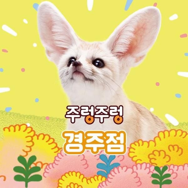 주렁주렁 [경북]주렁주렁 실내 동물원 경주점