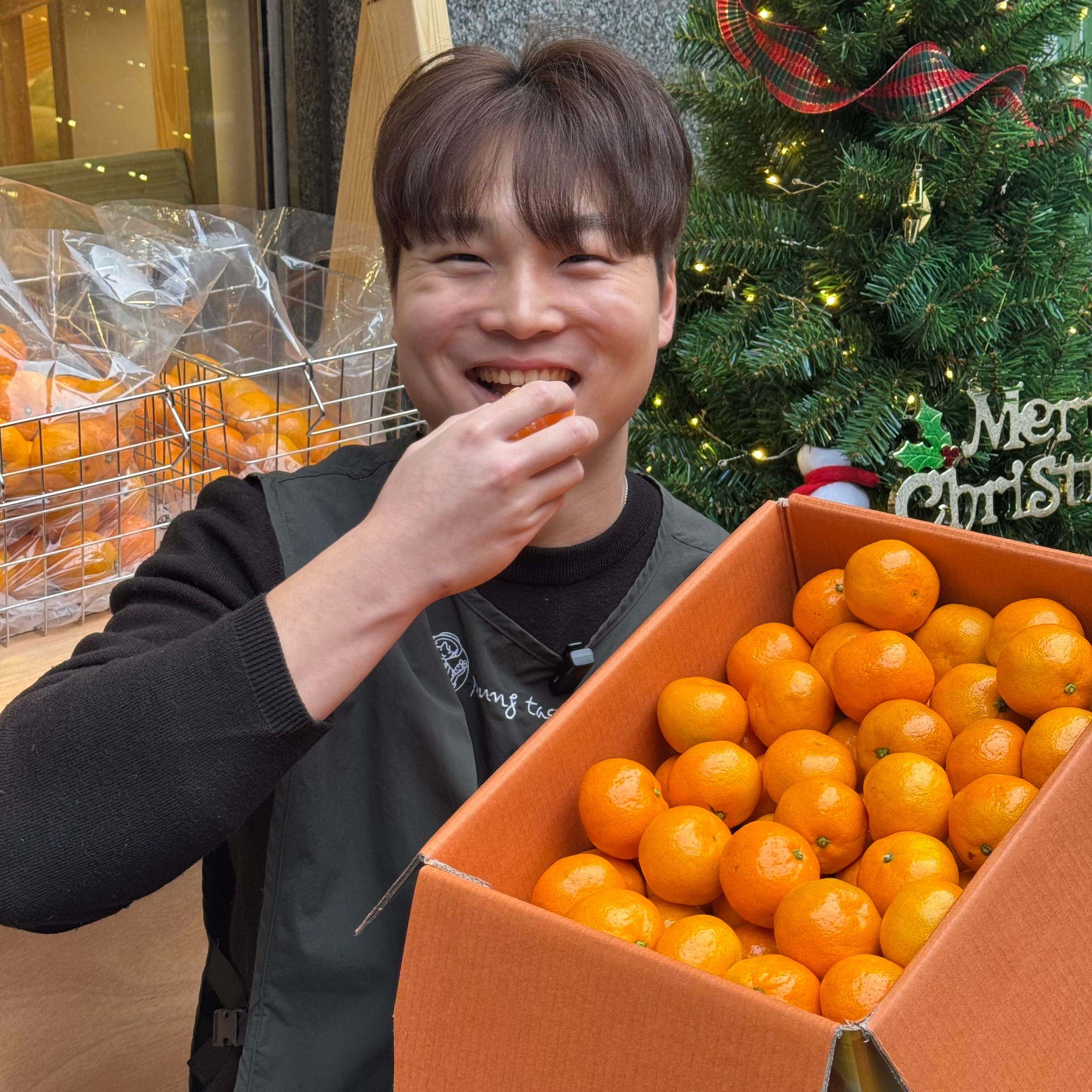 [최종가5,930원] 제주도 감귤 극조생감귤 노지감귤 3kg 5kg 중량선택 젊은맛이야기