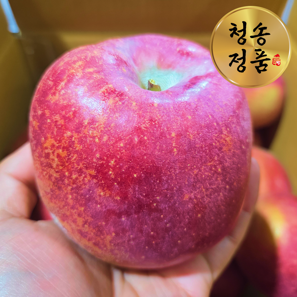 [특품선별] 청송 부사 감홍 시나노골드 사과 중대과 1.5kg 3kg 5kg