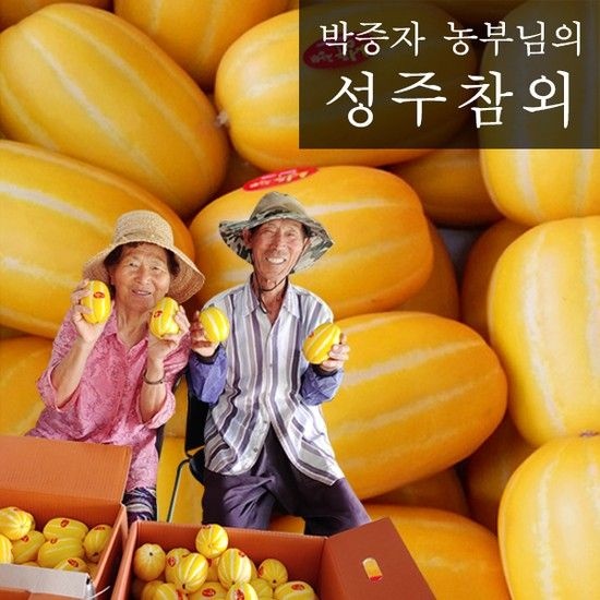 <b>참외</b>향기 향기나는 성주<b>참외</b> <b>10kg</b> 특과 23-25과