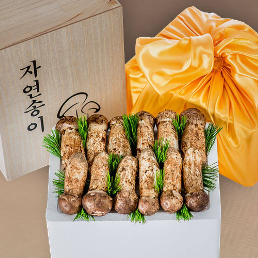 산해직송 자연산 송이버섯(냉동) 세트 국내산 추석 설 구정 명절