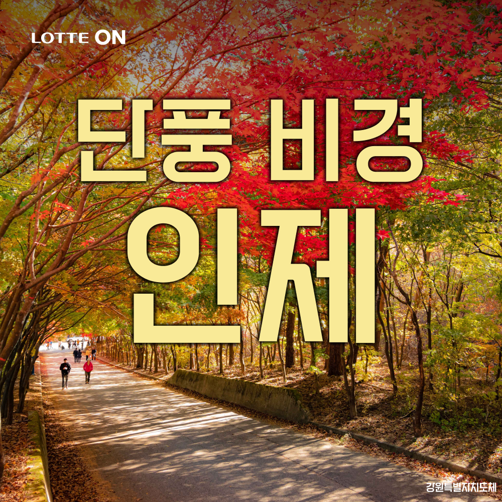테마캠프 [런트립] 인제 단풍 비경 필례계곡 단풍 트레일러닝, 남대천 억새밭, 하조대 바다 당일여행