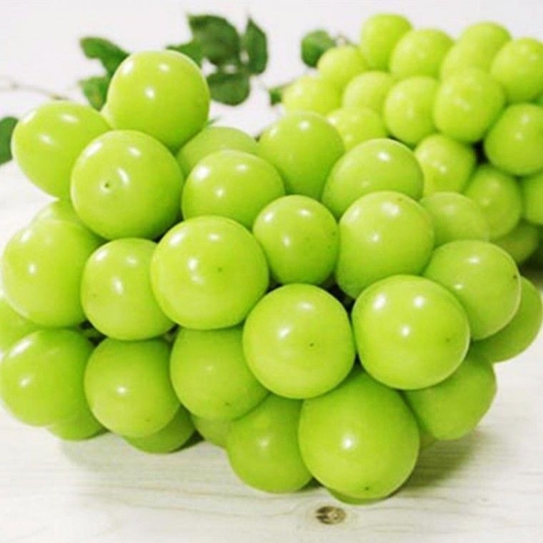 국내산 김천 고당도 <b>샤인</b><b>머스켓</b> 대형 <b>4kg</b> 4-5수