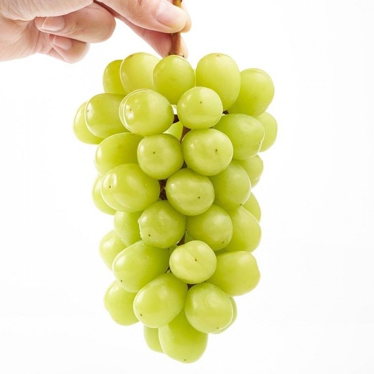 국내산 김천 가정용 <b>샤인</b><b>머스켓</b> 대형 <b>4kg</b> 4-5수