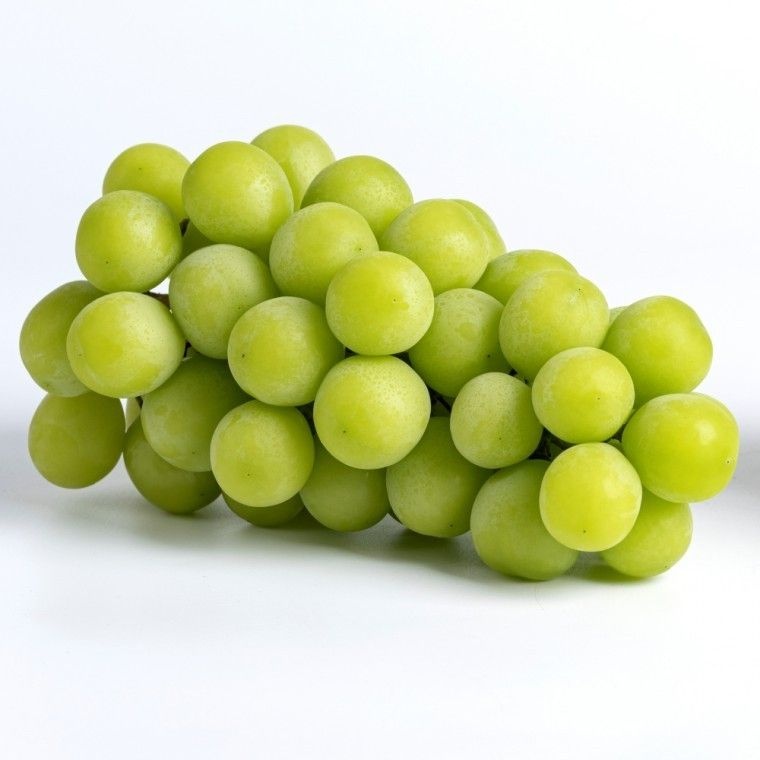 <b>샤인</b><b>머스켓</b> <b>4kg</b>