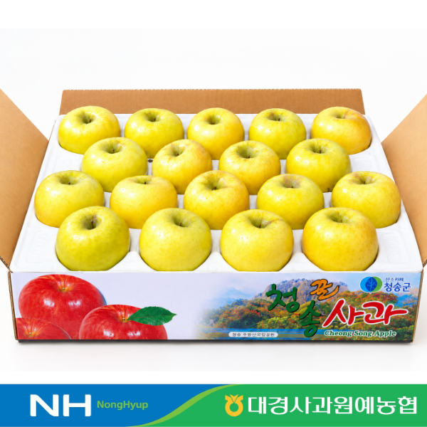대경사과원예농협 청송 시나노골드 정품 5kg 구성