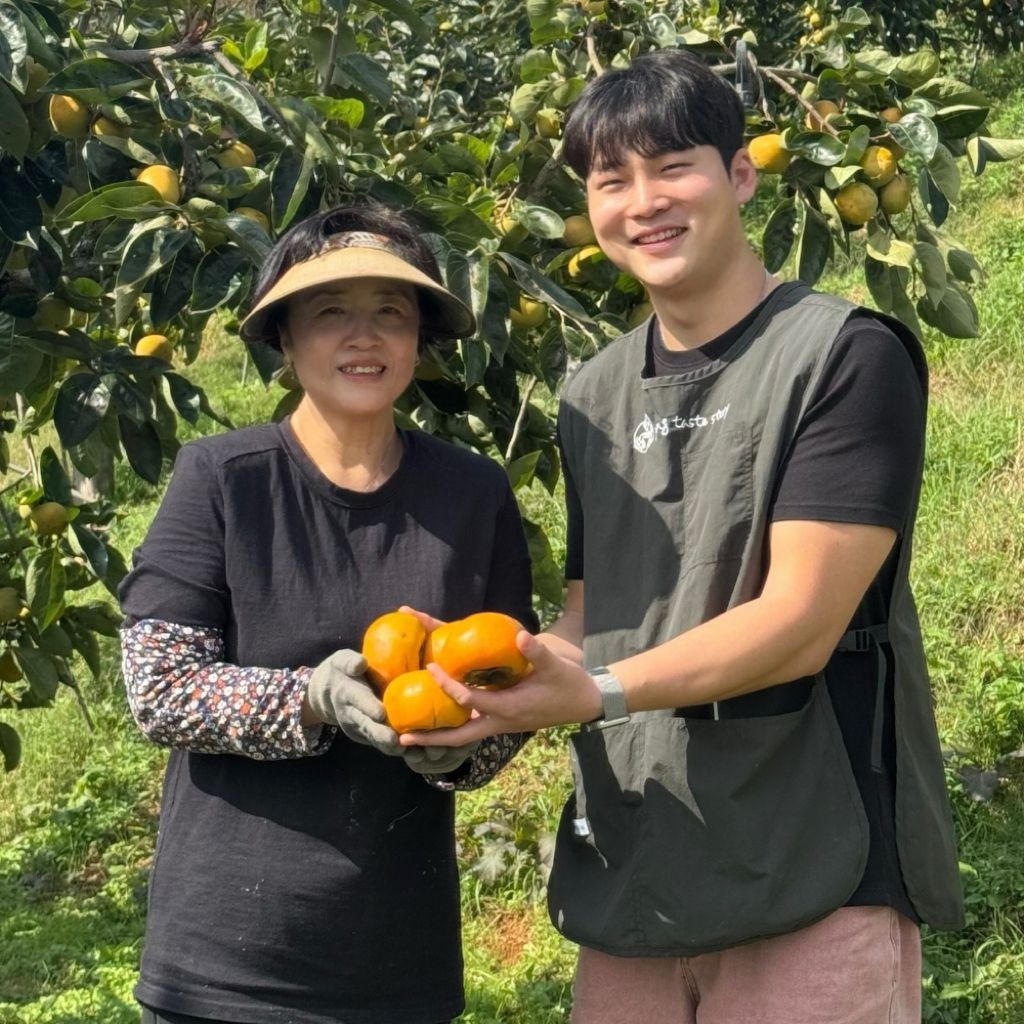 단감 부유단감 산지직송 2kg 3kg 5kg 중량선택