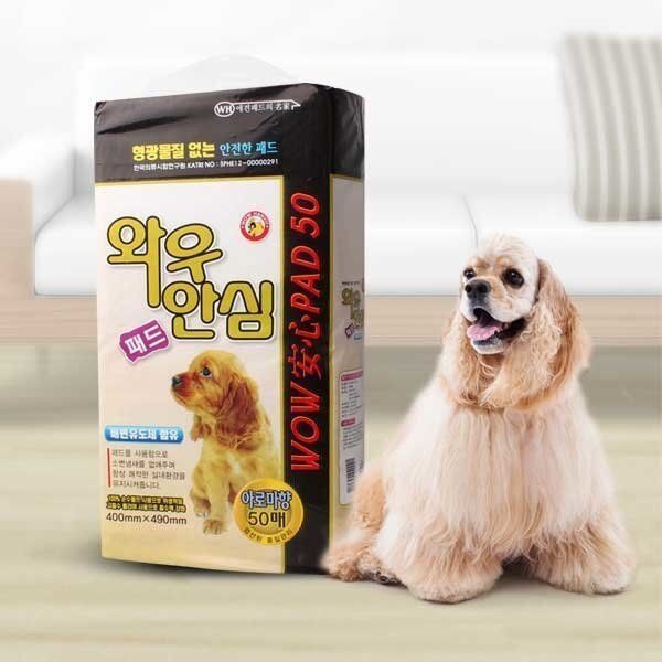 와우한빛 와우 안심패드 일반형 50매 x6개