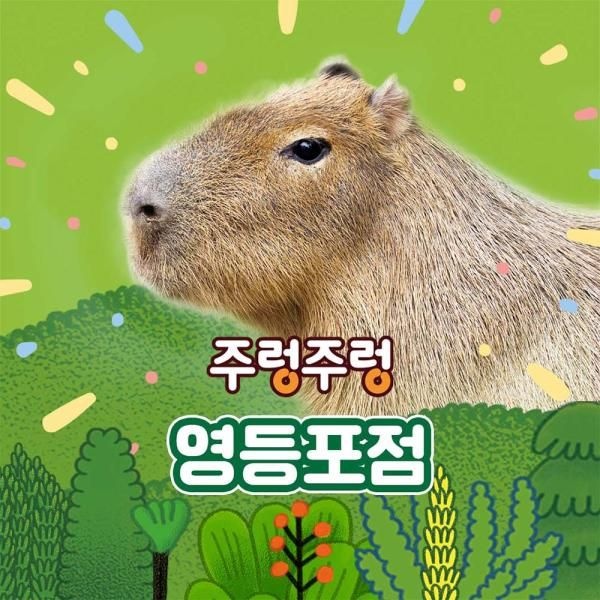 주렁주렁 [서울]주렁주렁 실내 동물원 영등포점