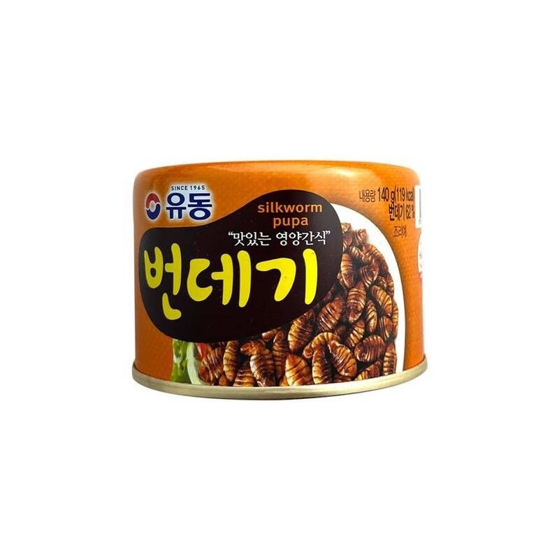 유동 번데기 통조림 140g x 48개