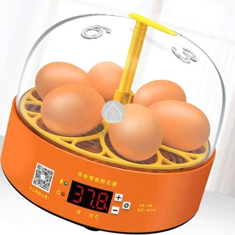 UnKnown 자동 회전형 미니 <b>부화기</b> 6구 달걀<b>부화기</b> 계란<b>부화기</b> <b>병아리</b><b>부화기</b>