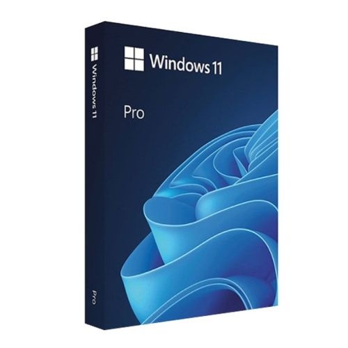 마이크로소프트 Windows 11 Pro FPP 처음사용자용 한글