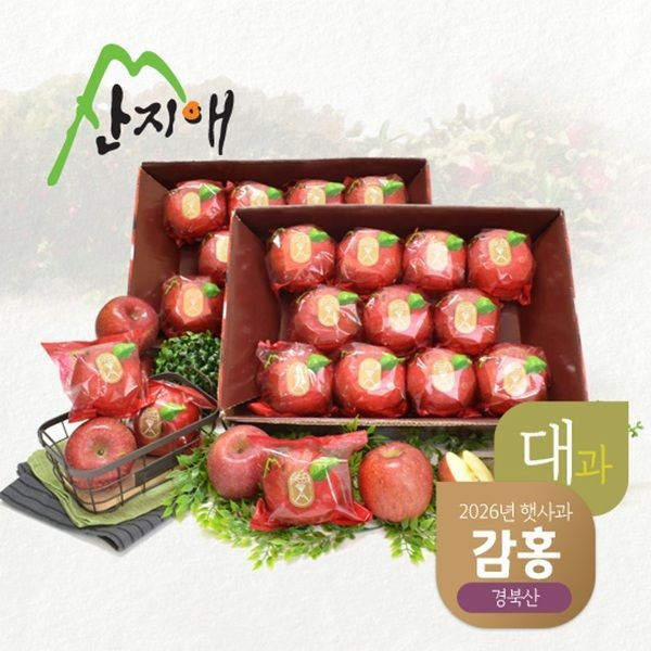 [오늘출발] 산지애 [햇사과] 산지애 씻어나온 꿀사과 3kg 2box / 감홍, 대과, 봉지 세척사과 , 당도선별 13brix