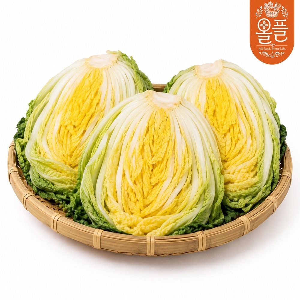[온누리상품] [올플] 속이 꽉찬 강원도 영월 고랭지 절임배추 10kg(4-7포기내외)