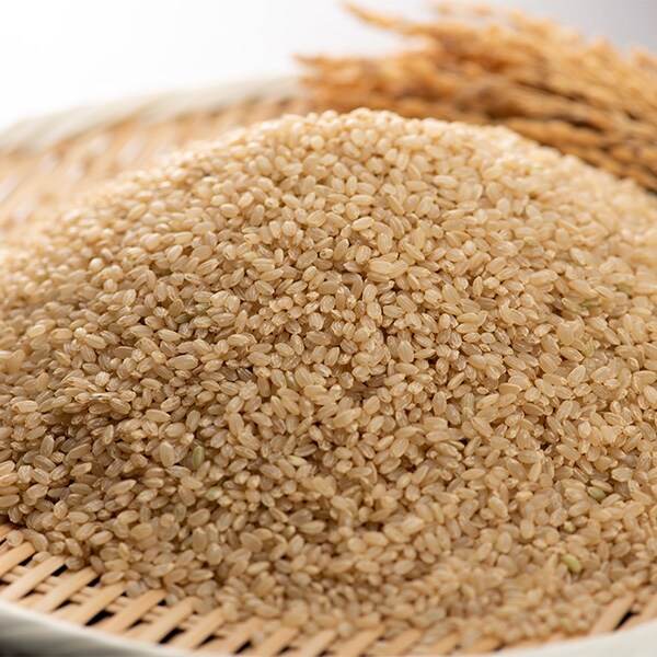 [자연맛남] 전주시 디자인농부 현미 영양가득 500g