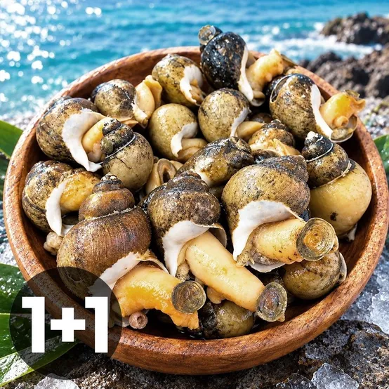 [통큰수산] 1+1 동해안 당일조업 자연산 자숙 골뱅이 400g+400g (총800g)