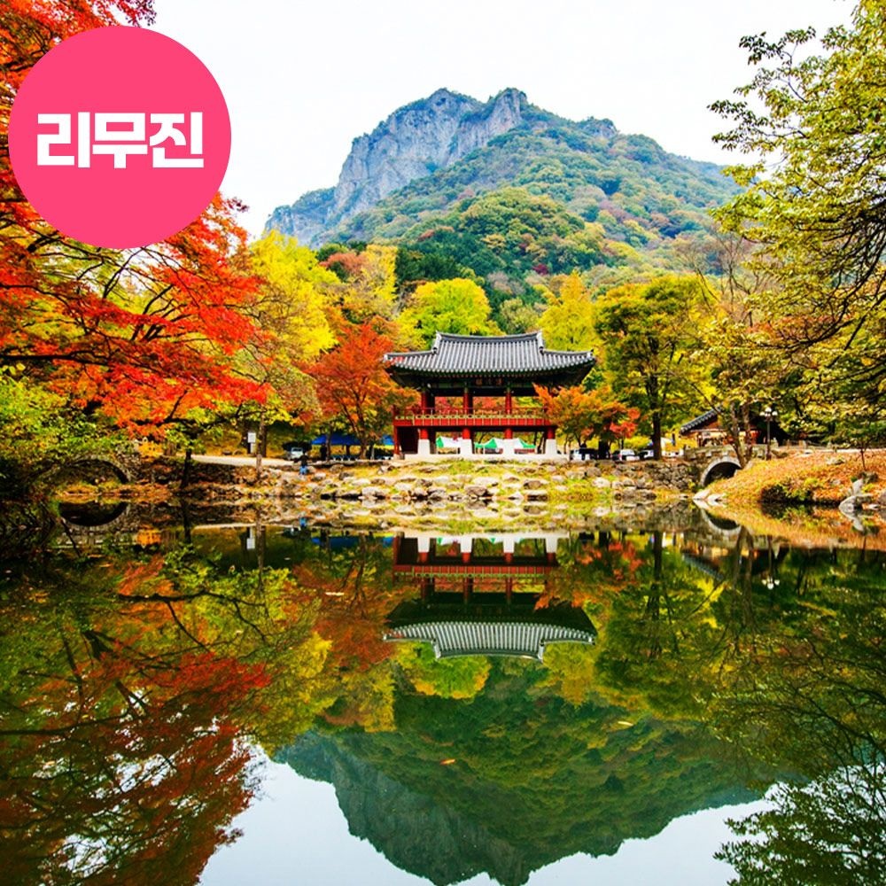 로망스투어 [런트립] 리무진 가을빛정취 내장산내장사+백양사 애기단풍 정읍,장성 당일여행