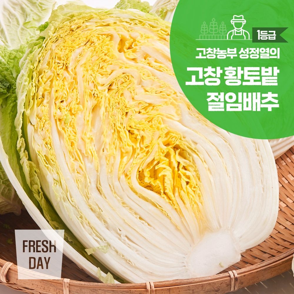프레시데이 [예약배송] 정성가득 고창 황토밭 김장 절임배추 20kg