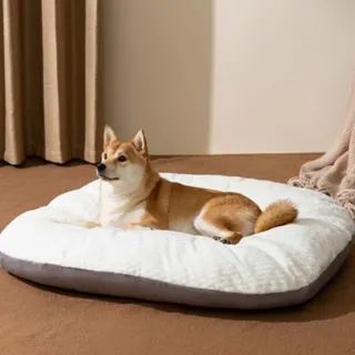 PET 강아지 방석 쿠션 마약방석 꿀잠 무중력 방석 강아지쇼파 애견쿠션