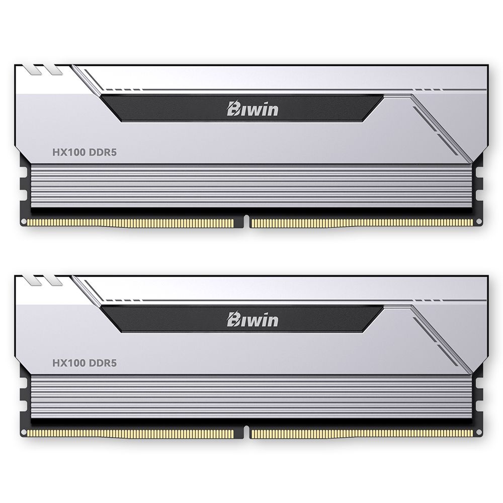 BIWIN DDR5-6000 CL30 HX100 실버 패키지