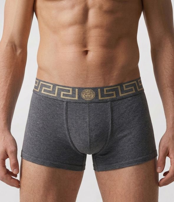 베르사체 VERSACE GRECA BORDER TRUNKS AU10026 A232741 A9X1 그레카 보더 트렁크 4137202