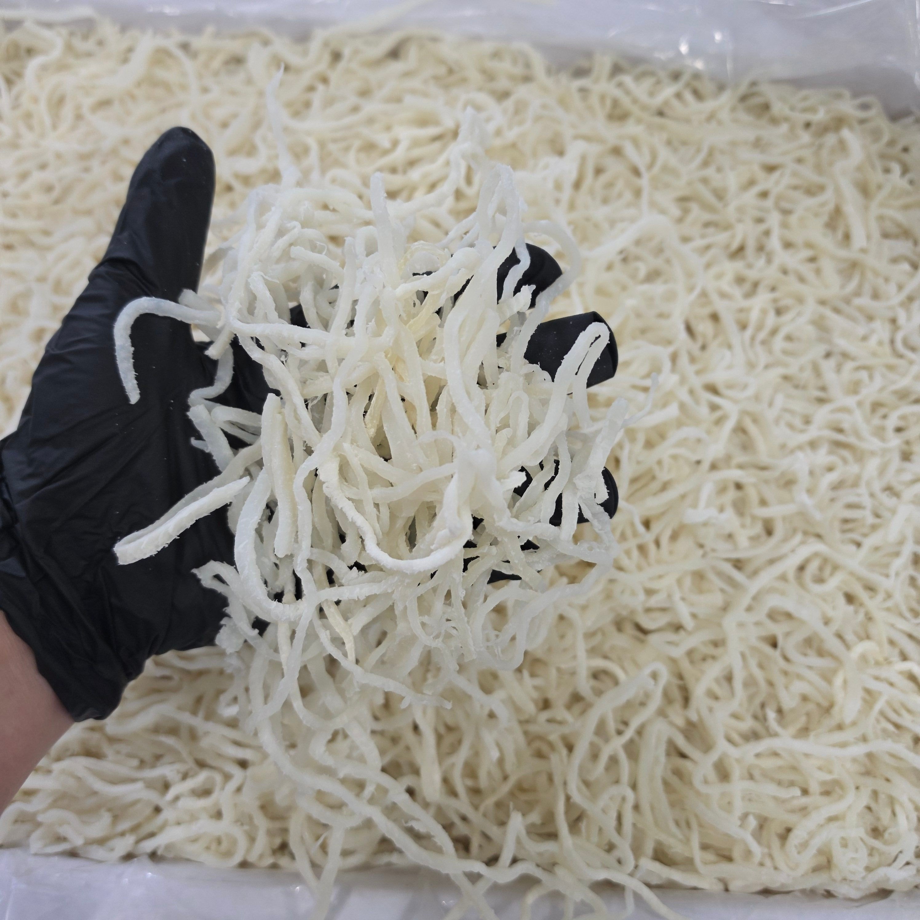국내가공 백진미채 홍진미채 1kg / 아이스박스 포장