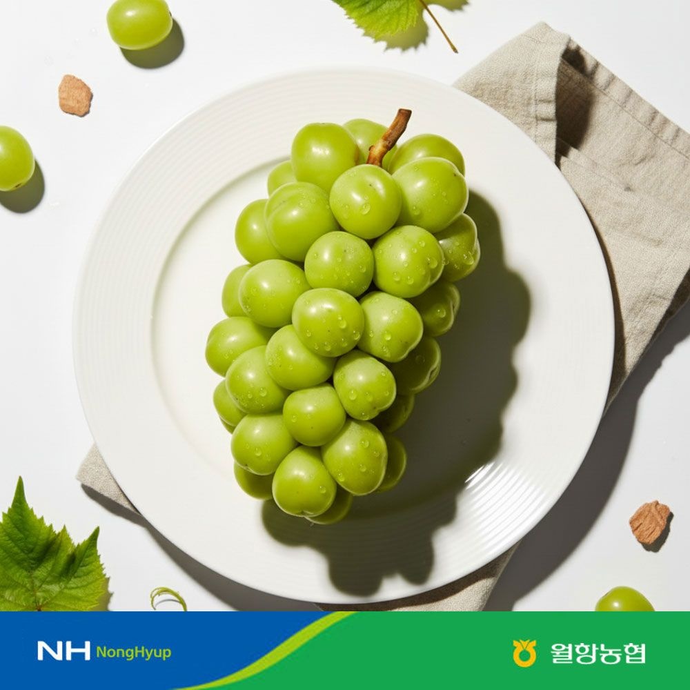 [농할 국내산][월항농협] 고당도 샤인머스켓 16~18Brix 이상 당도선별 특품/상품 2kg