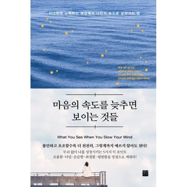 마음의 속도를 늦추면 보이는 것들 / 아페이,원녕경