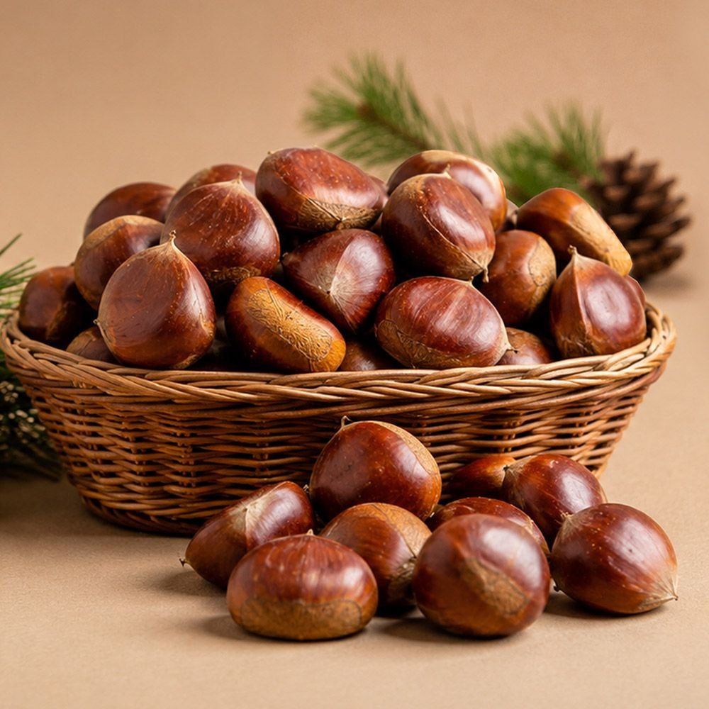 감동 [딜크릿] 26년 산지직송 부여 햇밤 대 2kg,3kg,5kg