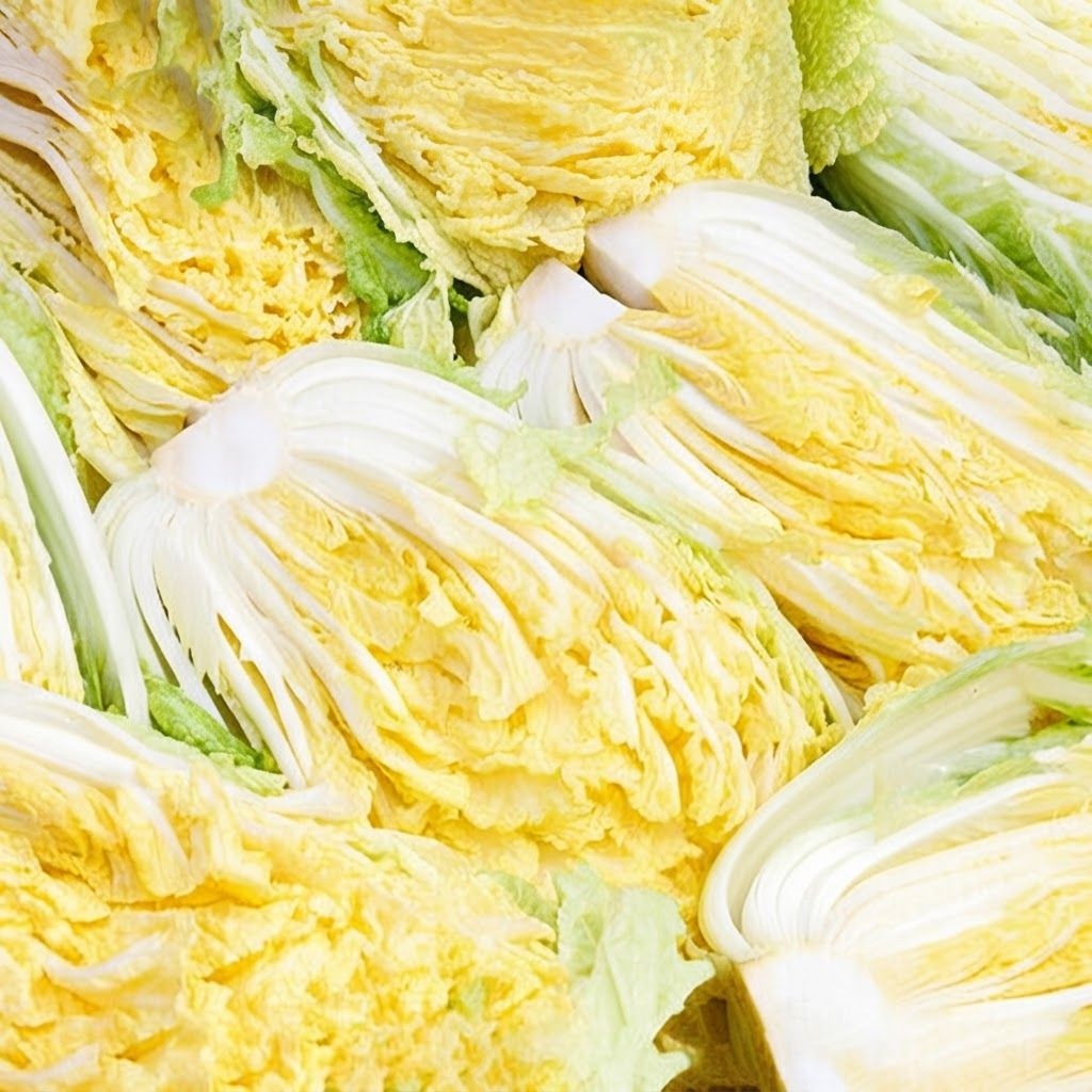 해남 절임배추 20kg (7포기~10포기) 미식한가 HACCP 잘절여진