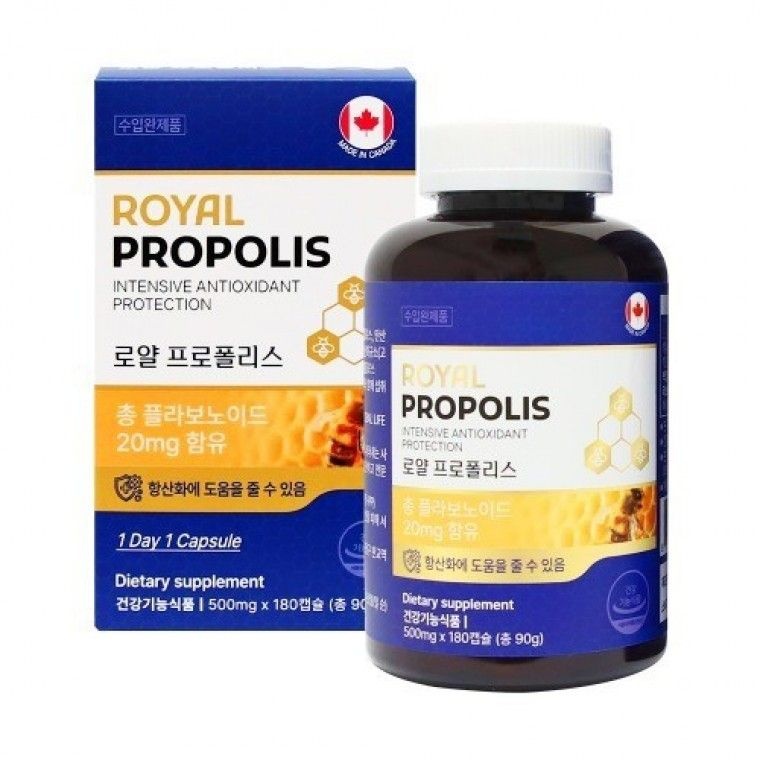 캐나다 로얄 프로폴리스 500mg x 180캡슐 6개월분