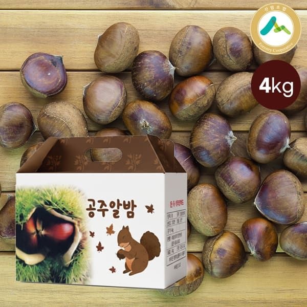 (현대홈쇼핑) [특사이즈 특등급] 2026년 햇 공주 알밤 4kg