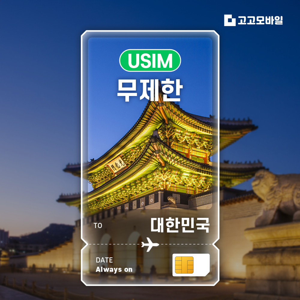 한국 유심 칩 USIM 데이터 무제한 서울 부산 제주 한국 전지역 매일 500MB ~ 2GB / 완전 무제한