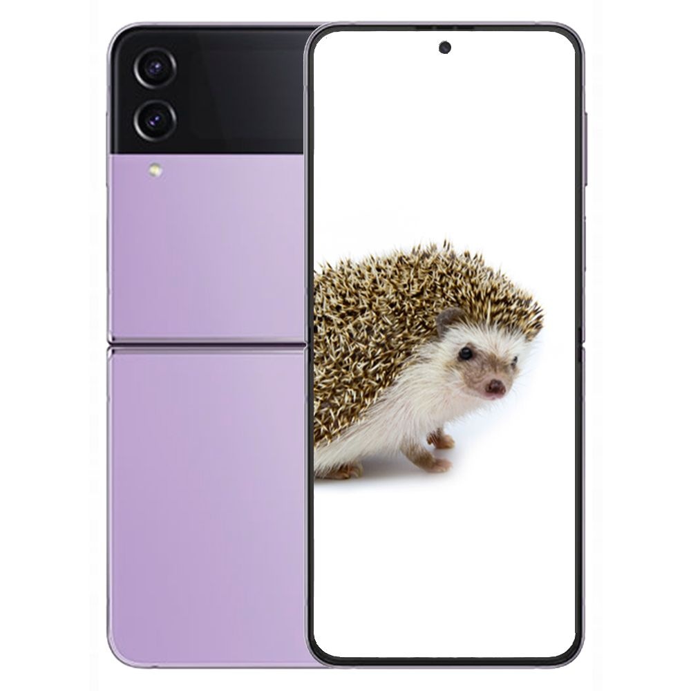 갤럭시 삼성 Z <b>플립</b><b>4</b> 512GB SM-F721N-512 미개봉 새상품