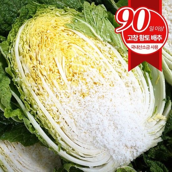 [고창직송] 예약배송 90일 황토 절임배추 20kg 6~10포기