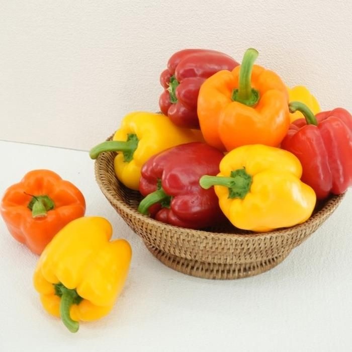 선물용 파프리카 2kg